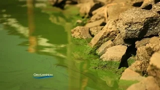 Great Lakes Now: The Algae Crisis