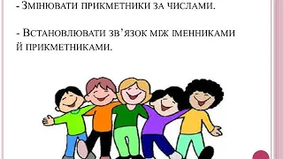 Українська мова 3 клас  Змінювання прикметників за числами в сполученні з іменниками