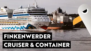 Cruiser & Container Shipspotting 🛳️ 400 m EVER GOVERN 💋 AIDAluna Werft-Rückkehr ✈️ Beluga & Beifang