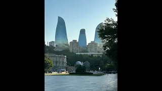 Баобаб в Баку