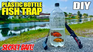 DIY Plastic Bottle Fish Trap - SECRET South Florida Bait!