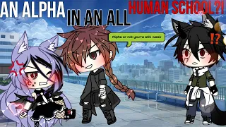 🐺~An ALPHA in an all HUMAN school?!~💔 GLMM -original storyline- Gachalife minimovie [GACHA]