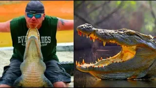 20 Epic Alligator Attack Caught on Camera EVER!