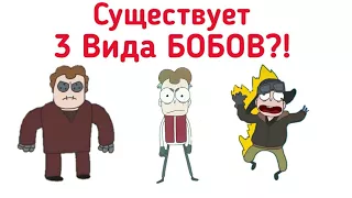 Существует 3 Вида БОБОВ?! Все Типы, Виды, Подвиды БОБОВ! | Теория. (Канал Знакомьтесь БОБ)