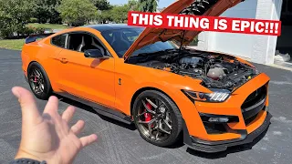 I Bought a "1,000HP" SHELBY GT500 SIGHT UNSEEN Off the Internet!!! *HUGE MISTAKE???*