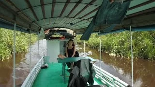 Houseboat Adventure through the Jungles of Borneo