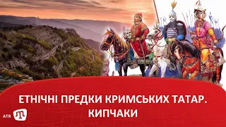 Етнічні предки кримських татар. Кипчаки