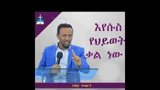 ርዕስ፡- እየሱስ የህይወት ቃል ነው     /ነብይ ጥላሁን  #neby tlahun #sbket #ethiopia