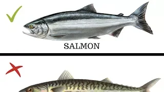 5 Types of Fish You MUST NEVER EAT!