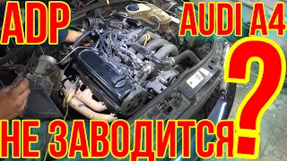 НЕ ЗАВОДИТСЯ Audi A4 ОСНОВНЫЕ ПРИЧИНЫ.