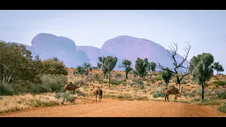 The Outback Way Part 3 -  The end of the Great Central Road, Gill Pinnacle to Alice Springs,