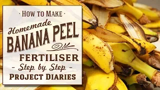 ★ How to Make Banana Peel Fertiliser  (A Complete Step by Step Guide)