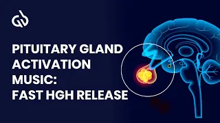 HGH Binaural Beats: Growth Hormone Frequency, Pituitary Gland Activation