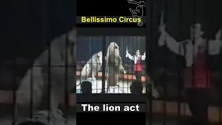 Bellissimo Circus: The African lion act