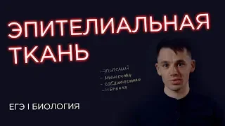 Эпителиальная ткань I ЕГЭ Биология | Даниил Дарвин | Вебиум