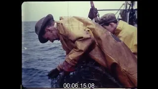 Trawler Fishing at Sea, 1960s - Film 1008982