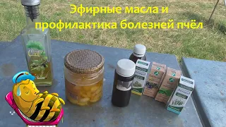 Эфирные масла и профилактика болезней пчёл