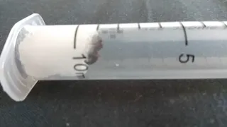 Поймал матку муравья
