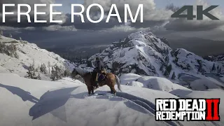 FREE ROAM RDR2 RTX 3080 4K60FPS