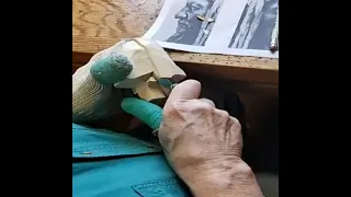 Carving a Native American Indian Bust   Part 1
