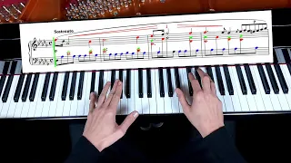How to Play Chopin | Prelude in D flat Major Op.28 No.15 "Raindrop" [Tutorial]