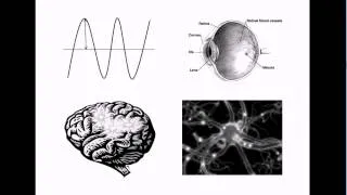 Non-Physical Properties of the Mind? Qualia #1: Introduction