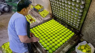 Crazy Way They Produce Millions of Tennis Balls By Hand