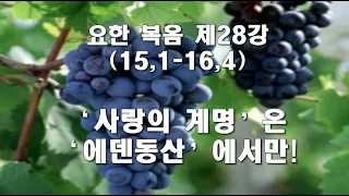 요한 복음 강해/ 제28강/ 15,1-16,4/ 사랑의 계명은 에덴동산에서만 지켜질 수 있다/ 전삼용 요셉 신부