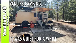 Vanlife Camping - Enjoying the QUIET while it lasts...