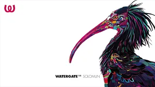 Watergate 11 - Solomun