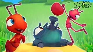 Oddbods Presentan: Antiks | Invasión del Hogar | Caricaturas Graciosas Para Niños