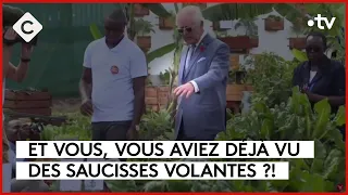 Avez-vous déjà vu des saucisses volantes ? - L’ABC - C à Vous - 31/10/2023