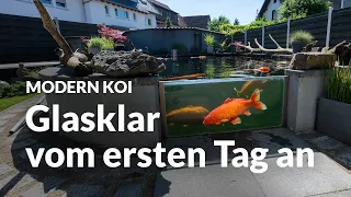 Wieder mal an Alis Teich | Modern Koi Blog #6687