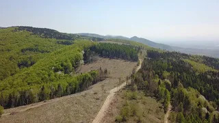 Snimci iz vazduha isječene šume na planini Kozara