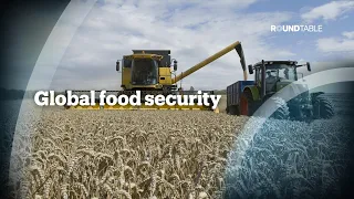 How can we solve global food insecurity?