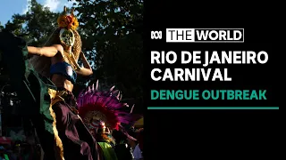 Rio de Janeiro declares a dengue health emergency days ahead of Carnival | The World
