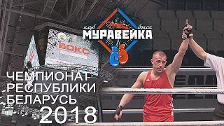 СКБ «Муравейка» БОКС, чемпионат Республики Беларусь (2018)