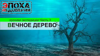 Дерево в миллион лет или истинная скорость эволюции