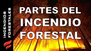 Partes de un incendio forestal