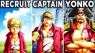 What Would Happen If Akainu Became A Pirate?