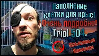 Очень подробное наполнение клетки для крыс. 🐭 На примере "Triol 504". 🐭 (Wild Rats) 🐭 Под пасюков!