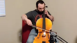 Aspiring Cellist - One Year of Cello