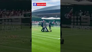 Wimbledon protestor dragged from court