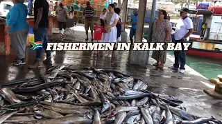 Fishermen in Kalk bay  South Africa.