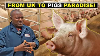 He Left the UK to Become a PIG FARMER in Nigeria?