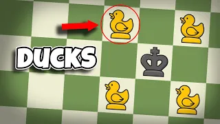 You Won't Believe These Chess Variants...