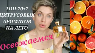 ТОП-10+1 Освежающих ЦИТРУСовых ароматов на ЛЕТО!