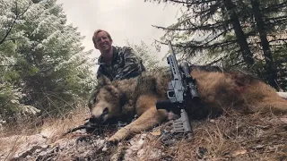 Another WOLF DOWN!!! Idaho Wolf Hunt - Stuck N the Rut 148