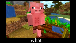 Minecraft wait what meme ( Pig + Villager = )