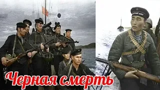 Novorossiysk operation in 1943. Why was the Wehrmacht scared?  military history